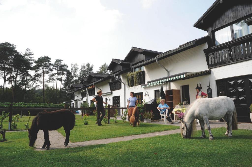 Landhotel Linden Am Venekotensee Niederkrüchten Exteriér fotografie