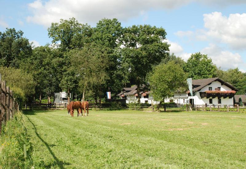 Landhotel Linden Am Venekotensee Niederkrüchten Exteriér fotografie